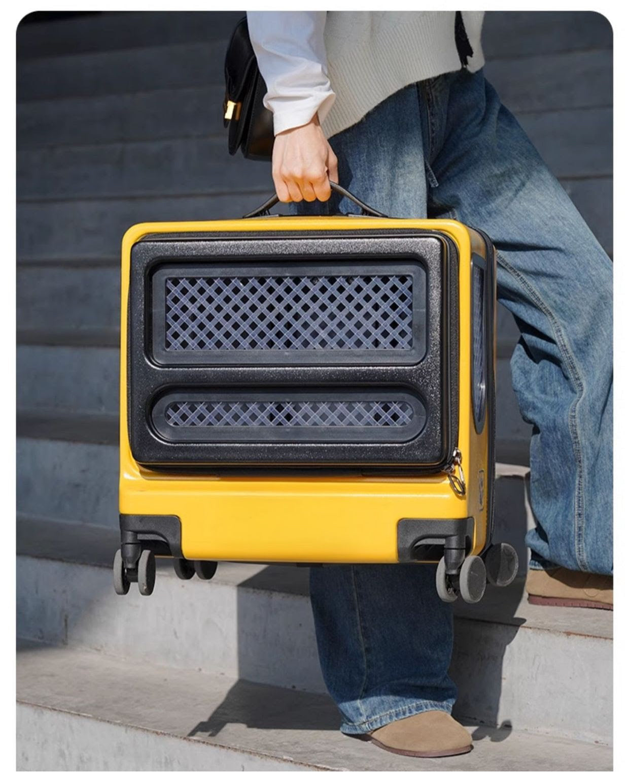 Portable Pet Capsule Box