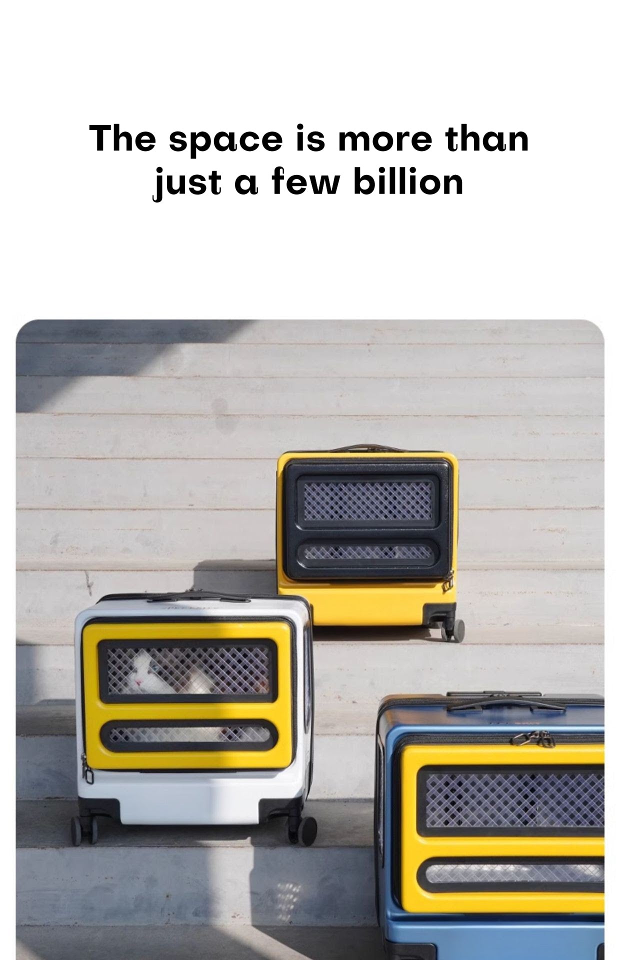 Portable Pet Capsule Box